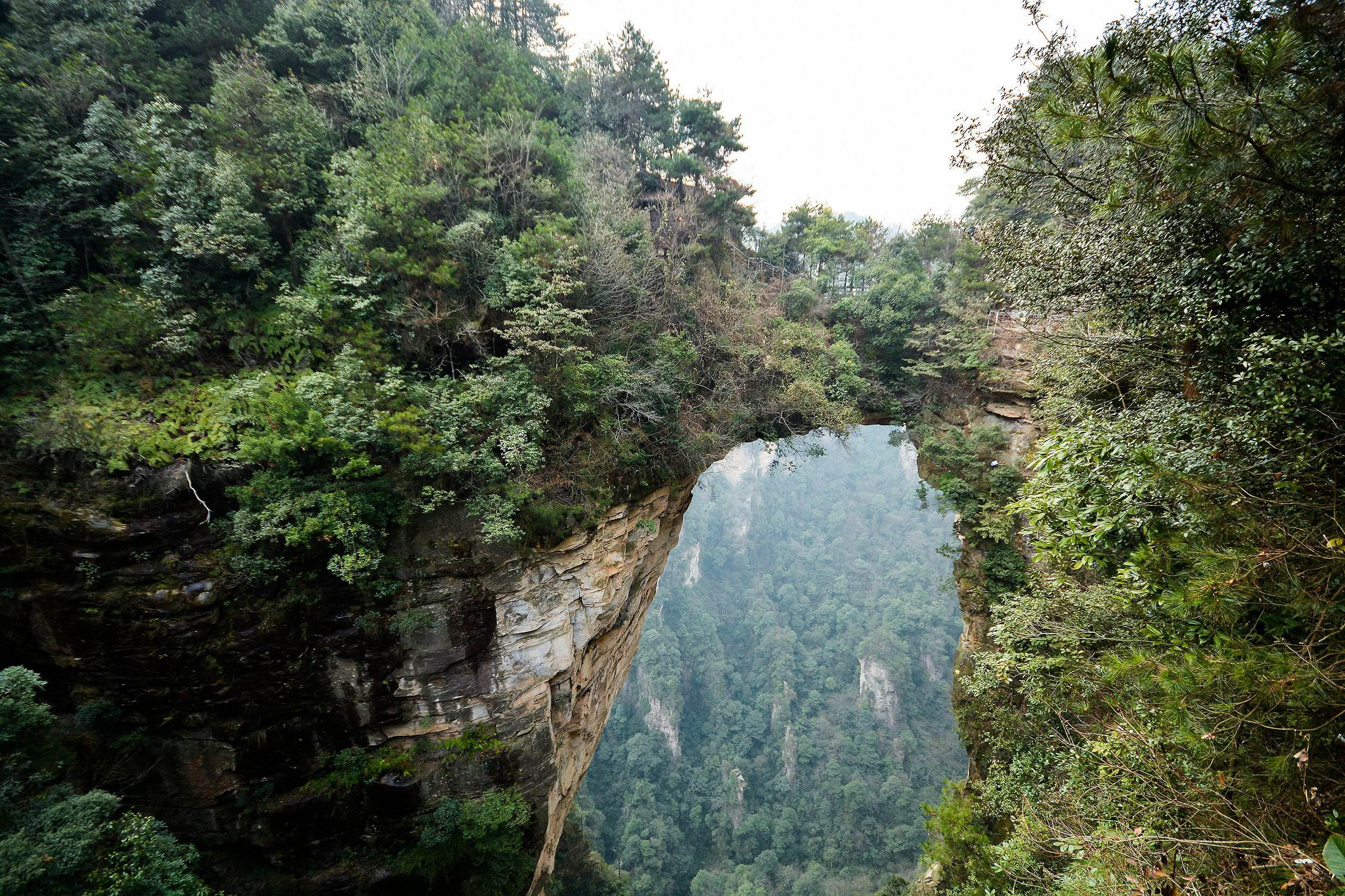 感悟自然魅力 體驗精彩人生