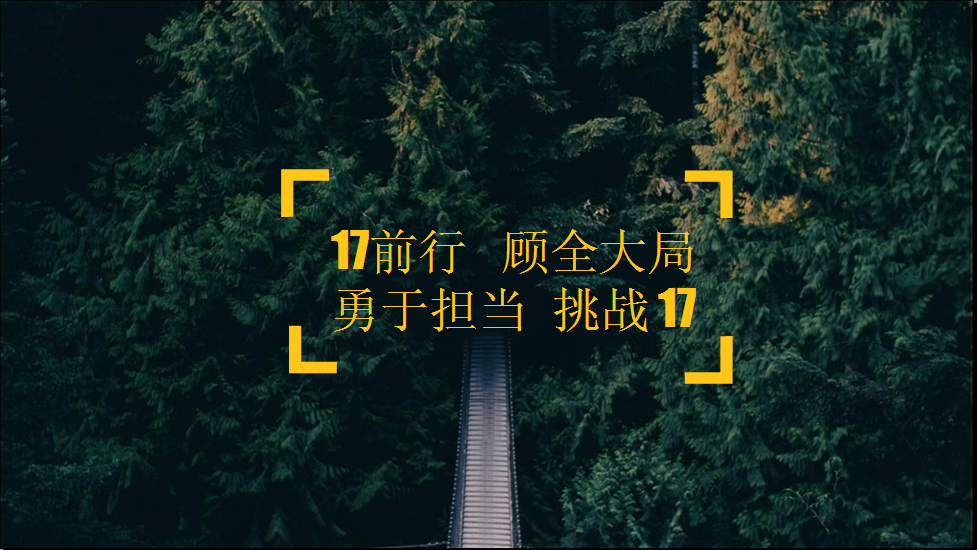 “17前行 顧全大局 勇於擔當 挑戰17”
