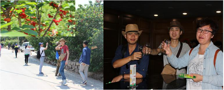 公司員（yuán）工及（jí）部分家屬青島旅遊