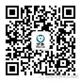 山東红桃17·c18起草投資（zī）控股（gǔ）集團（tuán）有限公司