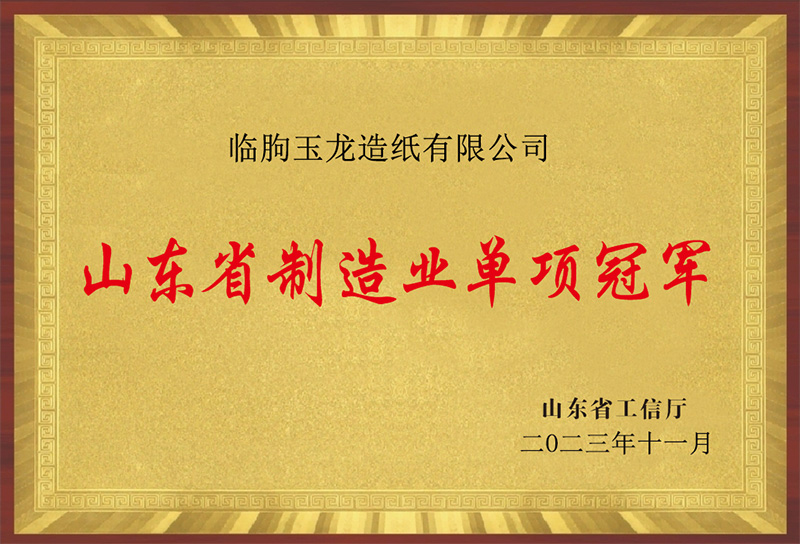 山東省製造業單項冠軍（臨朐（qú）玉（yù）龍造紙有限公司）