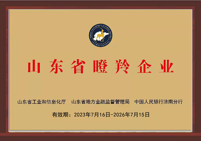 山東省（shěng）瞪羚企業